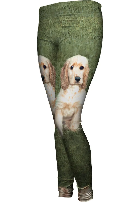 Fashionable Inner Wear Adoreable Cocker Spaniel