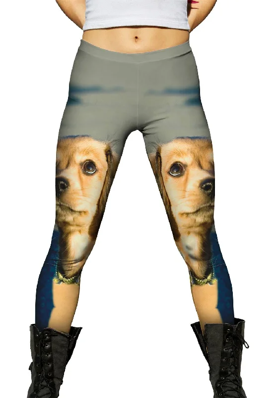 Simple Design Ambitious Dachshund Puppy