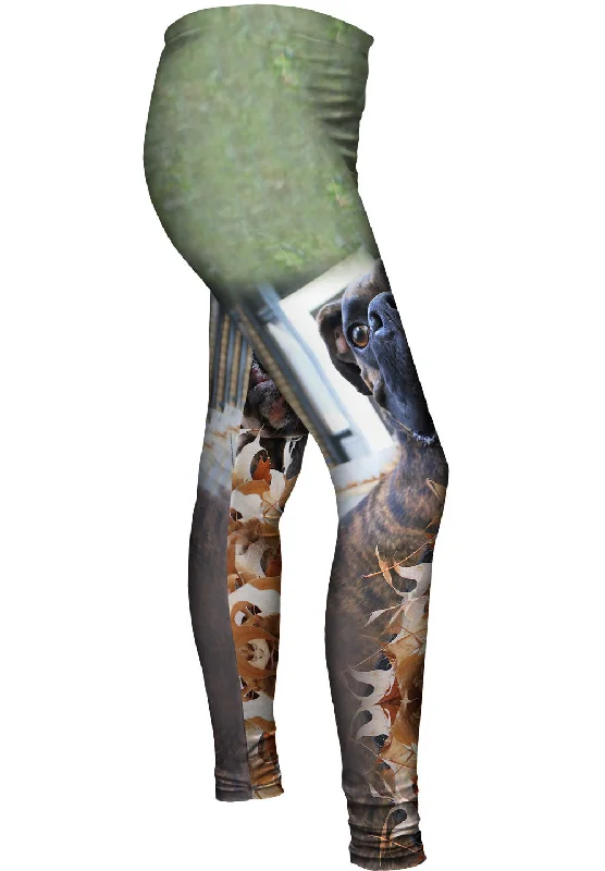 Trendy Looks Autumn Leaves Boxer