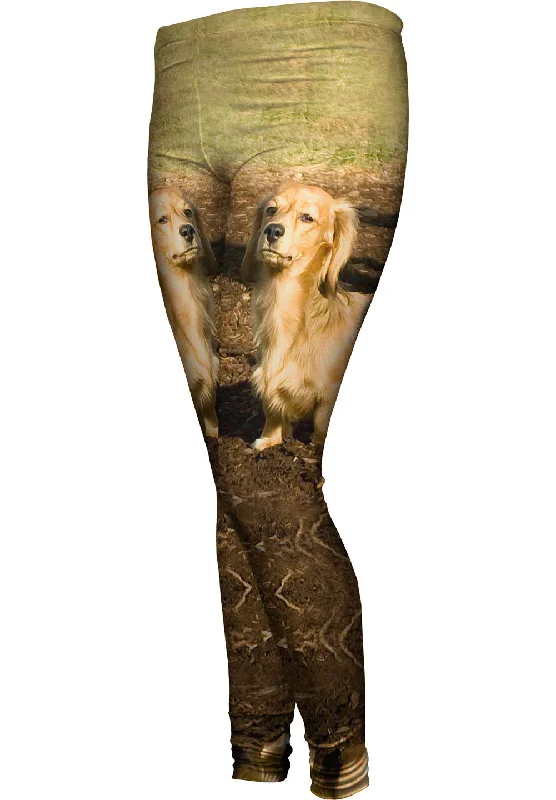 High-end Wear Dachshund Hates Mud