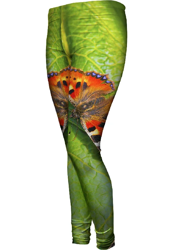 Stylish Wear Dazzling Spotted Butterfly