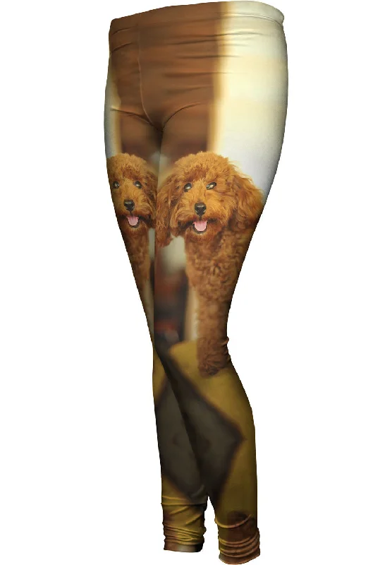 Comfortable Mind Delightfully Happy Poodle