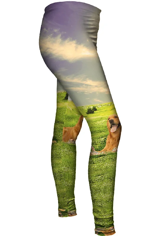 Cozy Layers Doggy Field