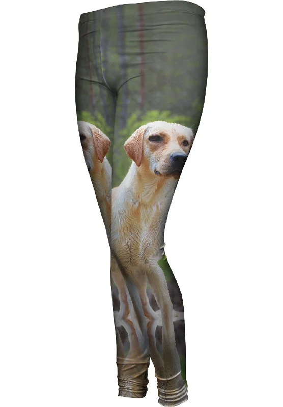 Casual Wear Fearless Hunter Golden Retriever