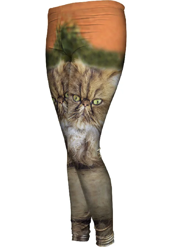 Unique Design Furball Kitten