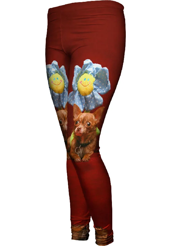Easygoing Style Happy Birthday Flower Chihuahua