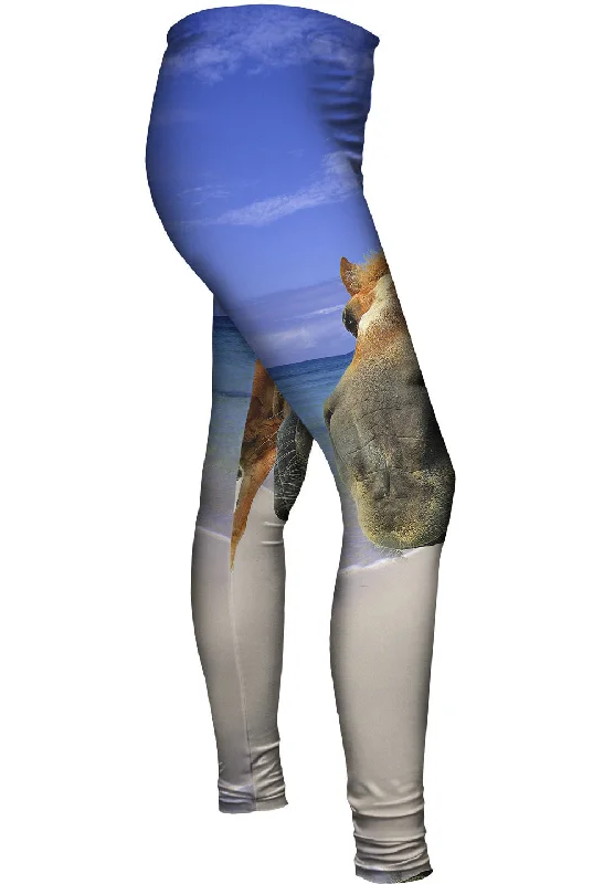 Versatile Style Horse Beach Snout