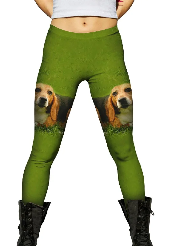 Cozy Apparel Lets Play Beagle