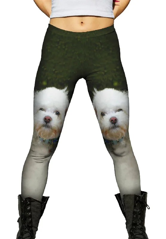 Simple Matching Little White Poodle