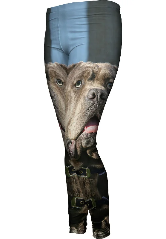 Elegant Fit Omg Green Eyed Mastiff