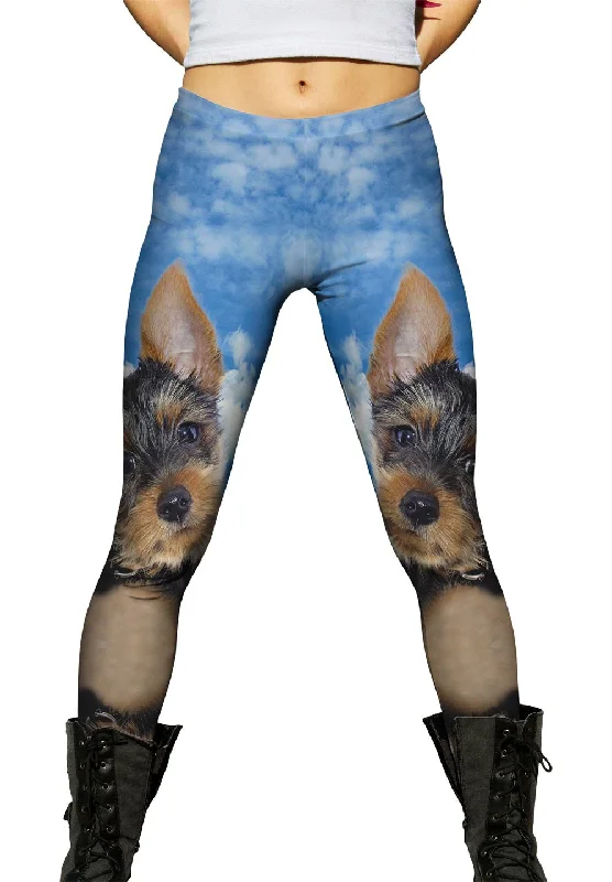 Modern Comfort Pondering Yorkie