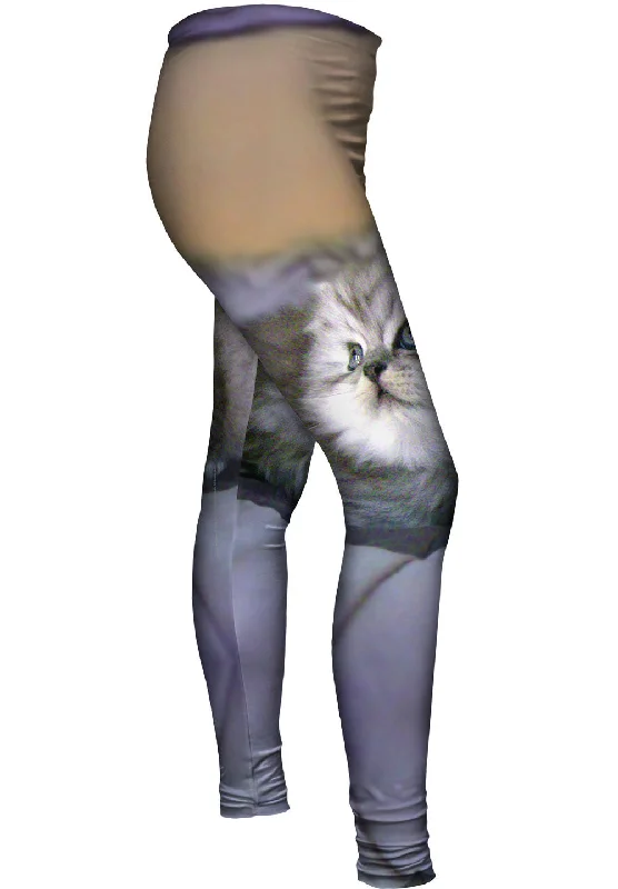 Stretch Design Posing Cat