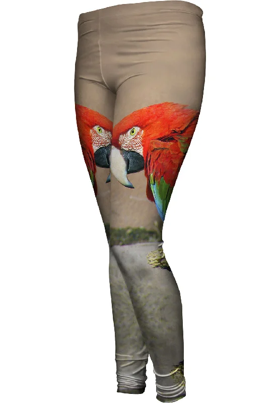 Noble And Elegant Sassy Red Parrot