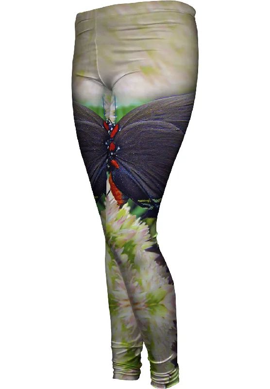 Fashion Concept Unusual Bloom Butterfly