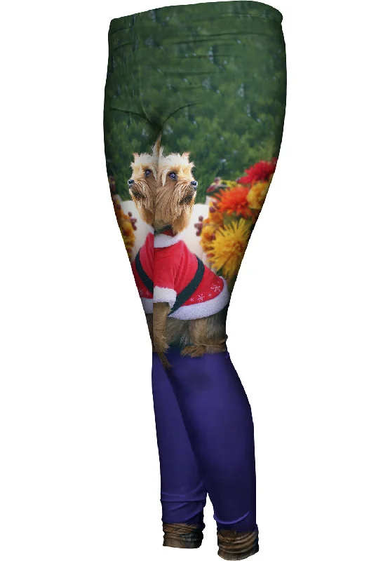Exclusive Customization What Was That Christmas Yorkie