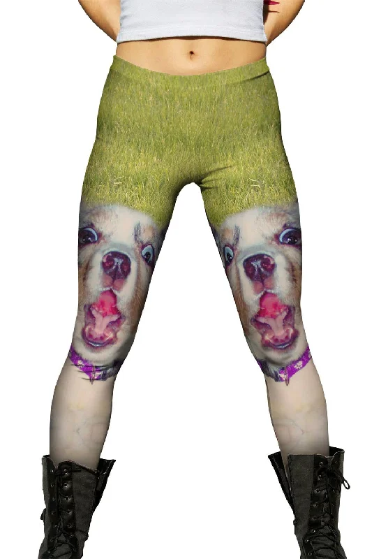 Comfortable Sweaters Zanny Dog Grass